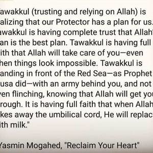 Meet your Posher, Yasmin